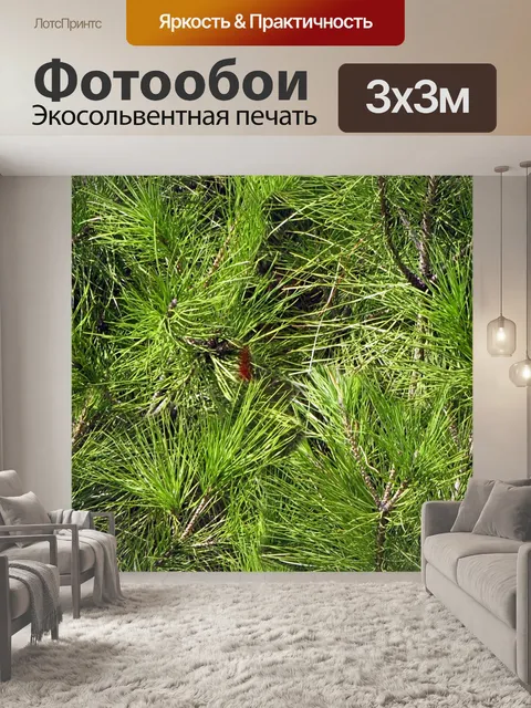 Фотообои Длинные иглы Сосна