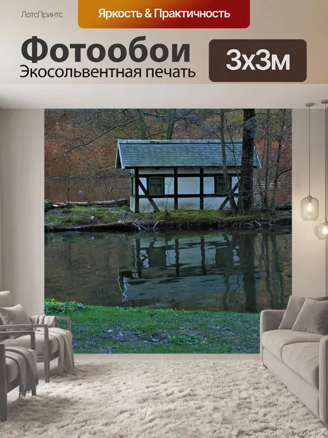 Фотообои Утиный пруд