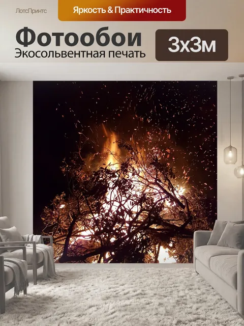 Фотообои Костер