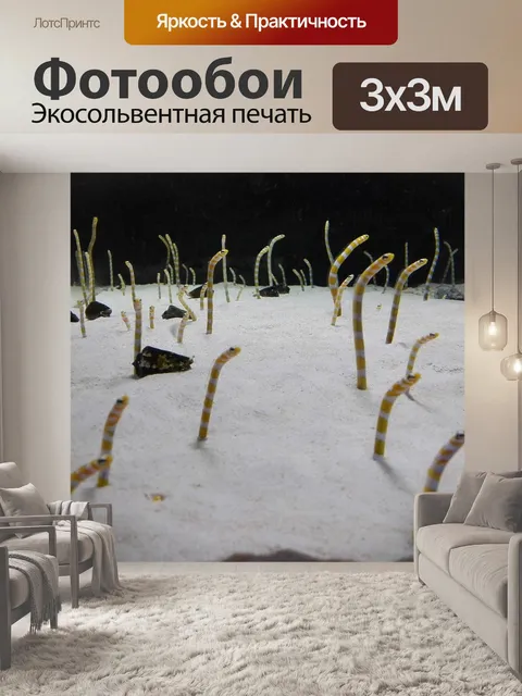 Фотообои Пятнистый садовый угорь