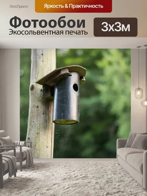 Фотообои Птичий домик