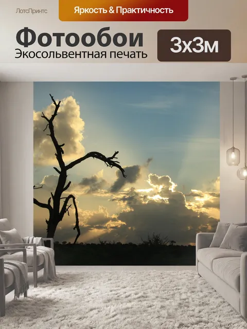 Фотообои Африканский закат