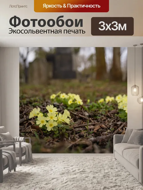 Фотообои Дикая примула