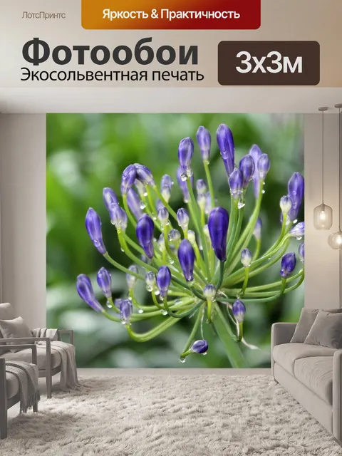 Фотообои Цветок