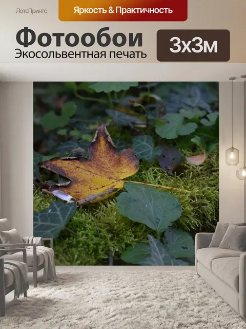 Фотообои Лист