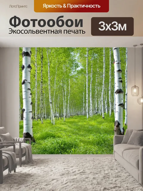 Фотообои березовая роща с белыми стволами деревьев и зеленым травяным покрытием