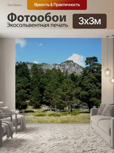 Фотообои Сосновый лес