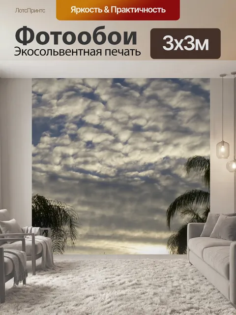 Фотообои Пальмы и небо Пахта