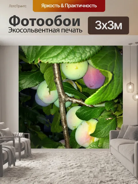 Фотообои Отвес