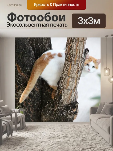 Фотообои Кошка