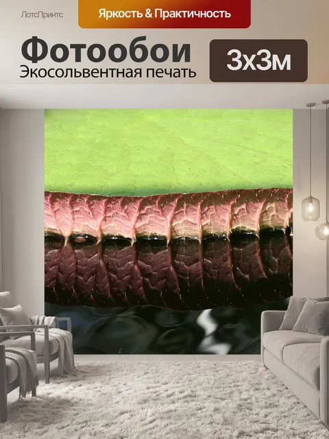 Фотообои Отражение