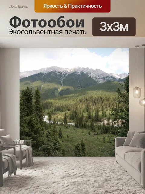 Фотообои Горы Деревья долине лесной