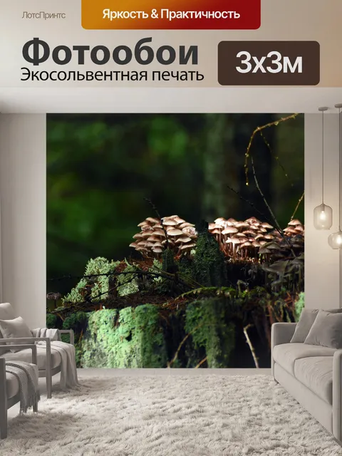 Фотообои Грибы