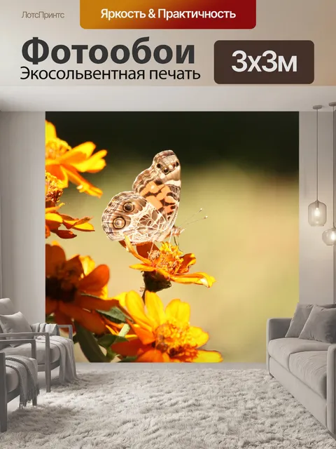 Фотообои Американская леди Баттерфляй на Космосе