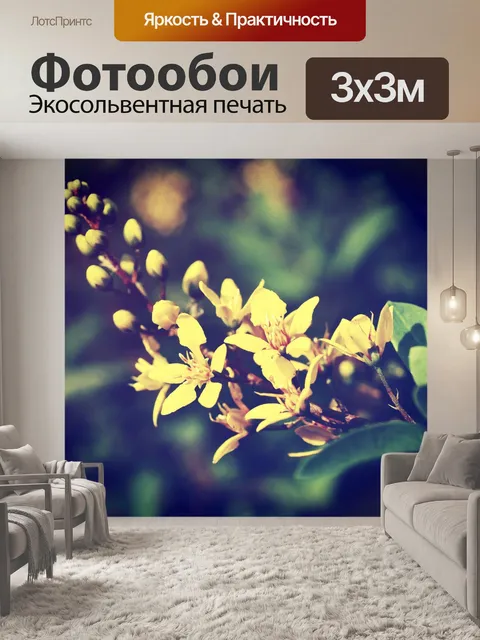 Фотообои Красивый цветок