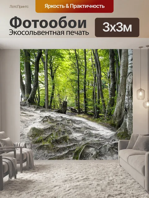 Фотообои Лес