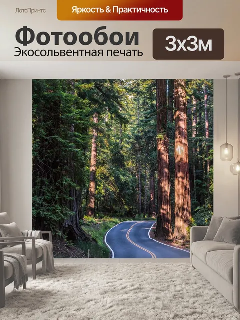 Фотообои Лес