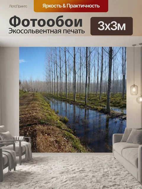 Фотообои Река