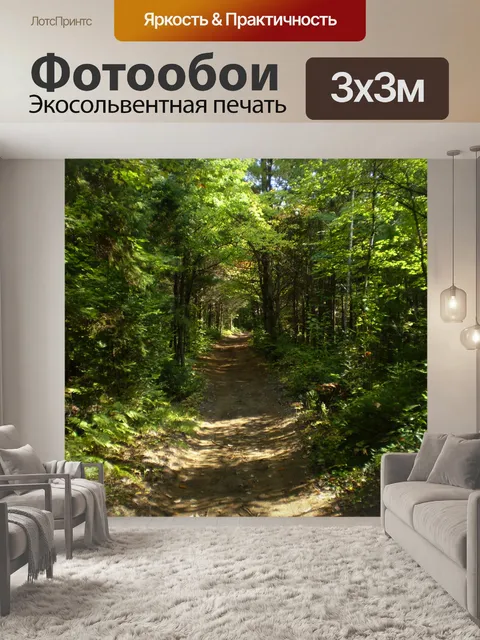 Фотообои Trail в лесу
