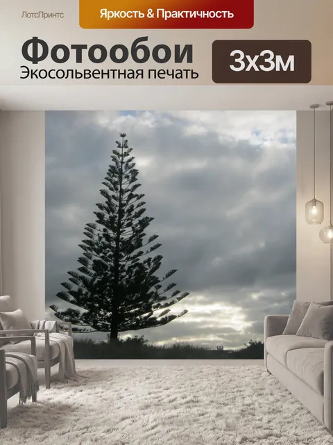 Фотообои Одинокий сосна