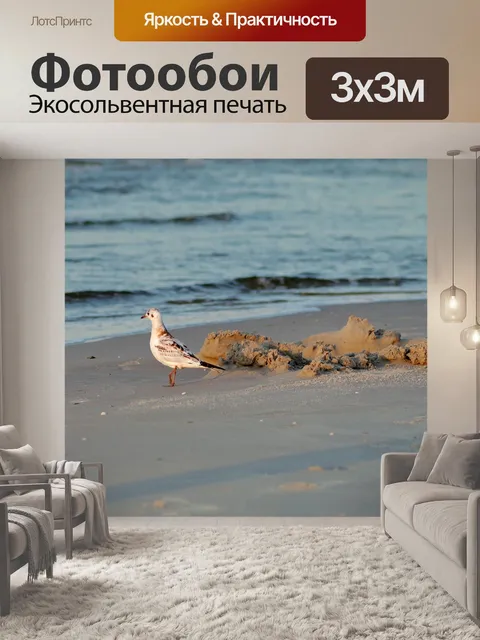 Фотообои Чайка