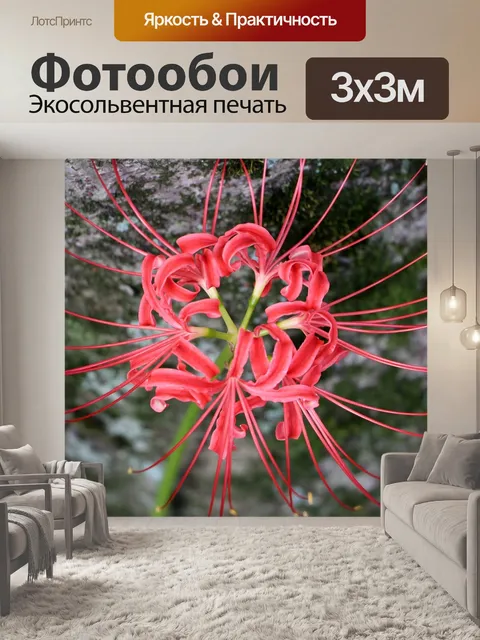 Фотообои Ботаник