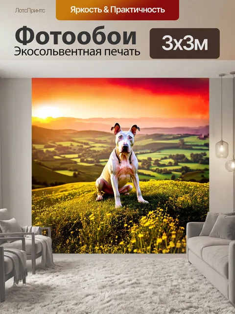 Фотообои бультерьер, гордо сидящий на травяном холме, его мускулистое тело сияет под яркими солнечными лучами