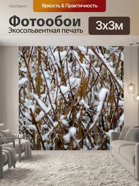 Фотообои Зимой ветвями
