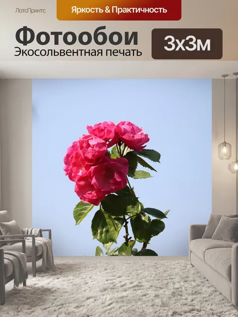 Фотообои Роза