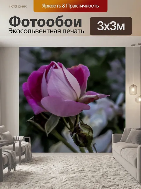 Фотообои Розовая Роза Вертикаль