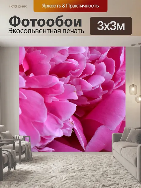 Фотообои Пион