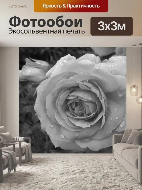 Фотообои Роза