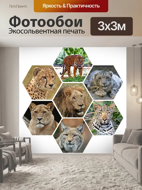 Фотообои Большие кошки
