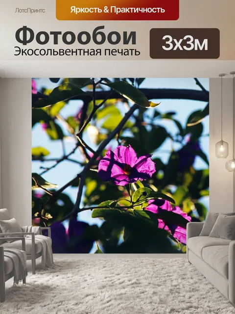 Фотообои фиолетовые цветы куста картофеля