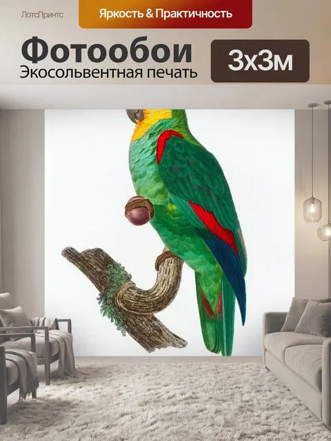 Фотообои Попугай птица старинное искусство