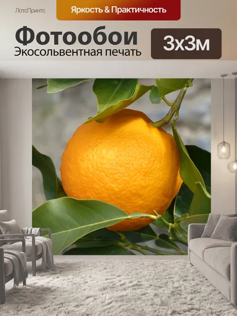 Фотообои Апельсин