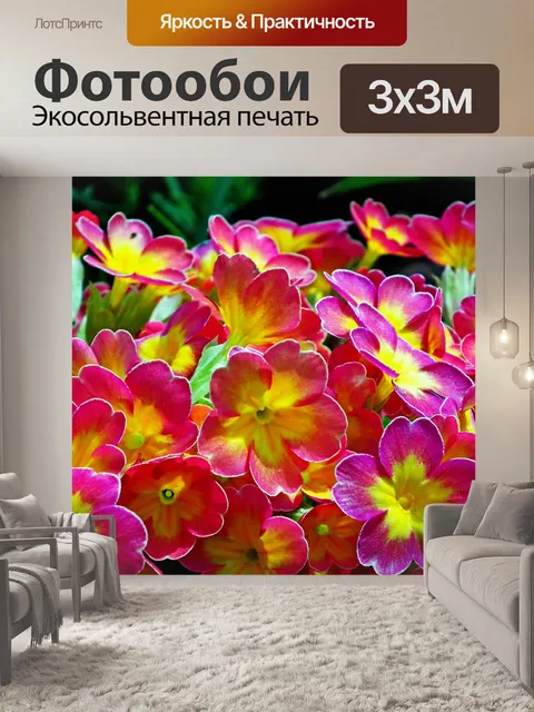 Фотообои Первоцветы