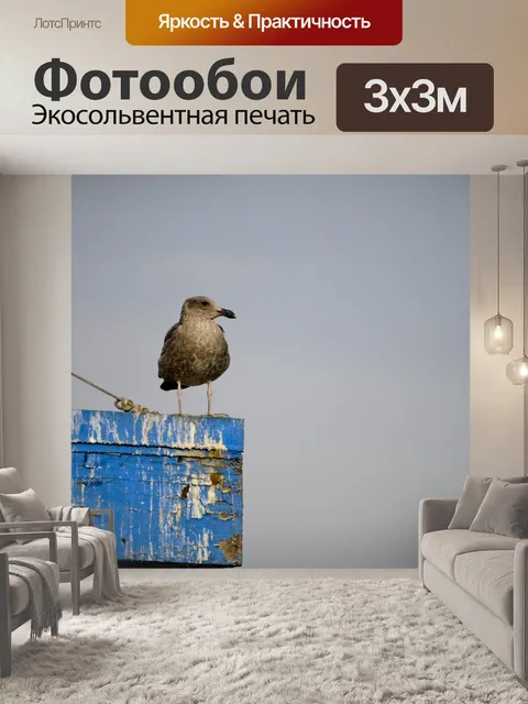 Фотообои Чайка на ржавой крыше