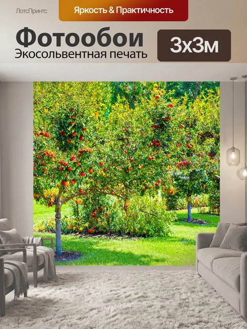 Фотообои природа в стиле раскраска