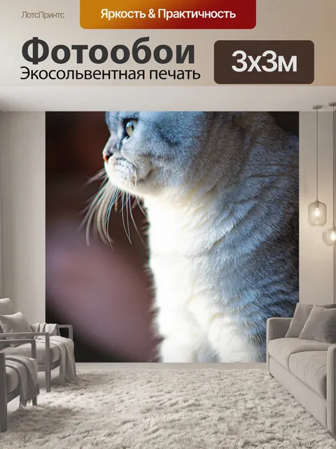 Фотообои Кошка