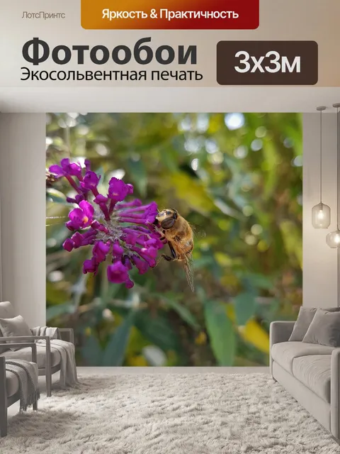 Фотообои Цветок