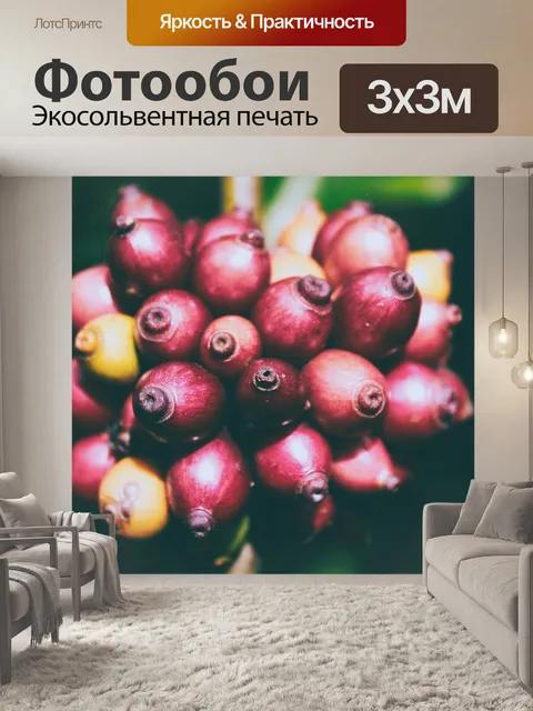 Фотообои Фрукты