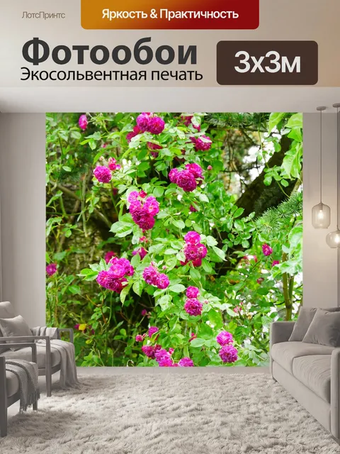 Фотообои Плетистая роза