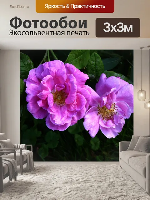 Фотообои Душистые розы