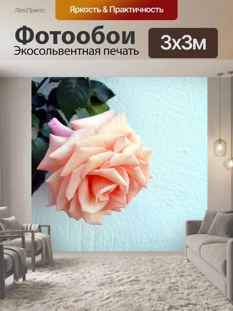 Фотообои Роза