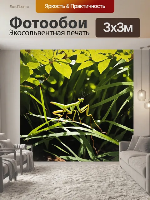Фотообои на фоне густого зелёного подлеска, зелёный богомол охотится, скрываясь среди стеблей трав и листвы