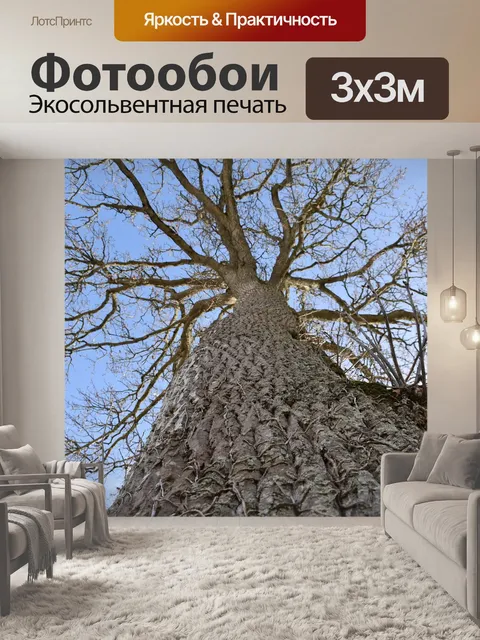 Фотообои Дерево