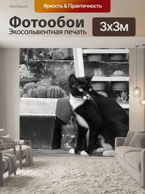 Фотообои Кошка