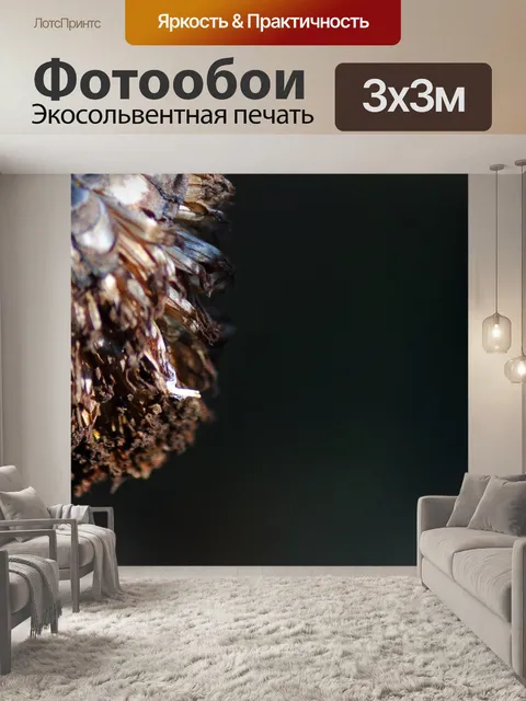 Фотообои сухая семенная головка цветка циннии