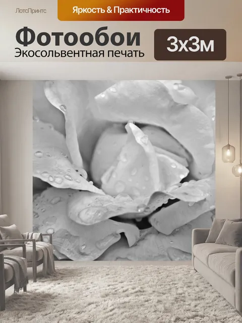 Фотообои Роза